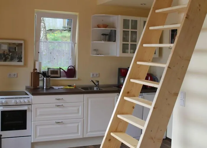 Ludwig Leichhardt * 施维洛赫塞